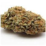 Шишки AK47  (Гидропоника, Бошка) VHQ в Каменке